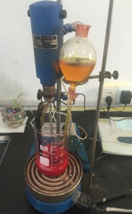 Reaksiyon sa panagsama