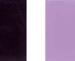 Bulawan-violet-29-Kolor