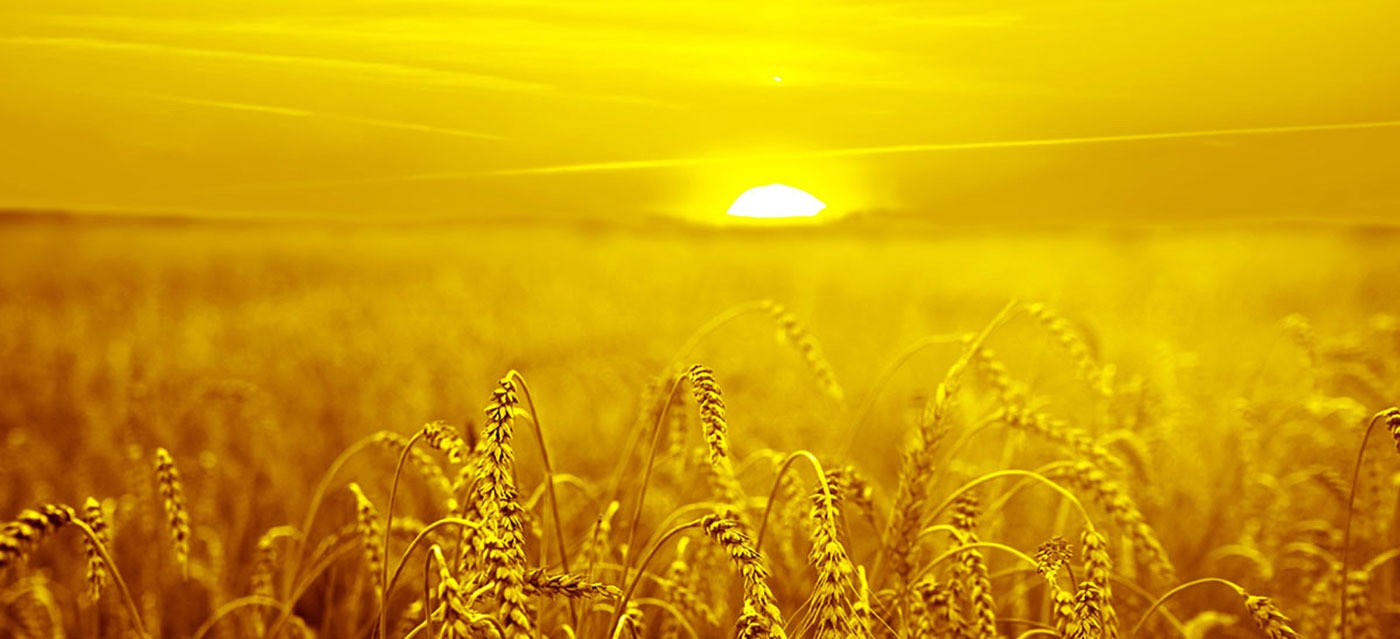 Gusto namon ang Pagtanyag og mga Solusyon sa kolor